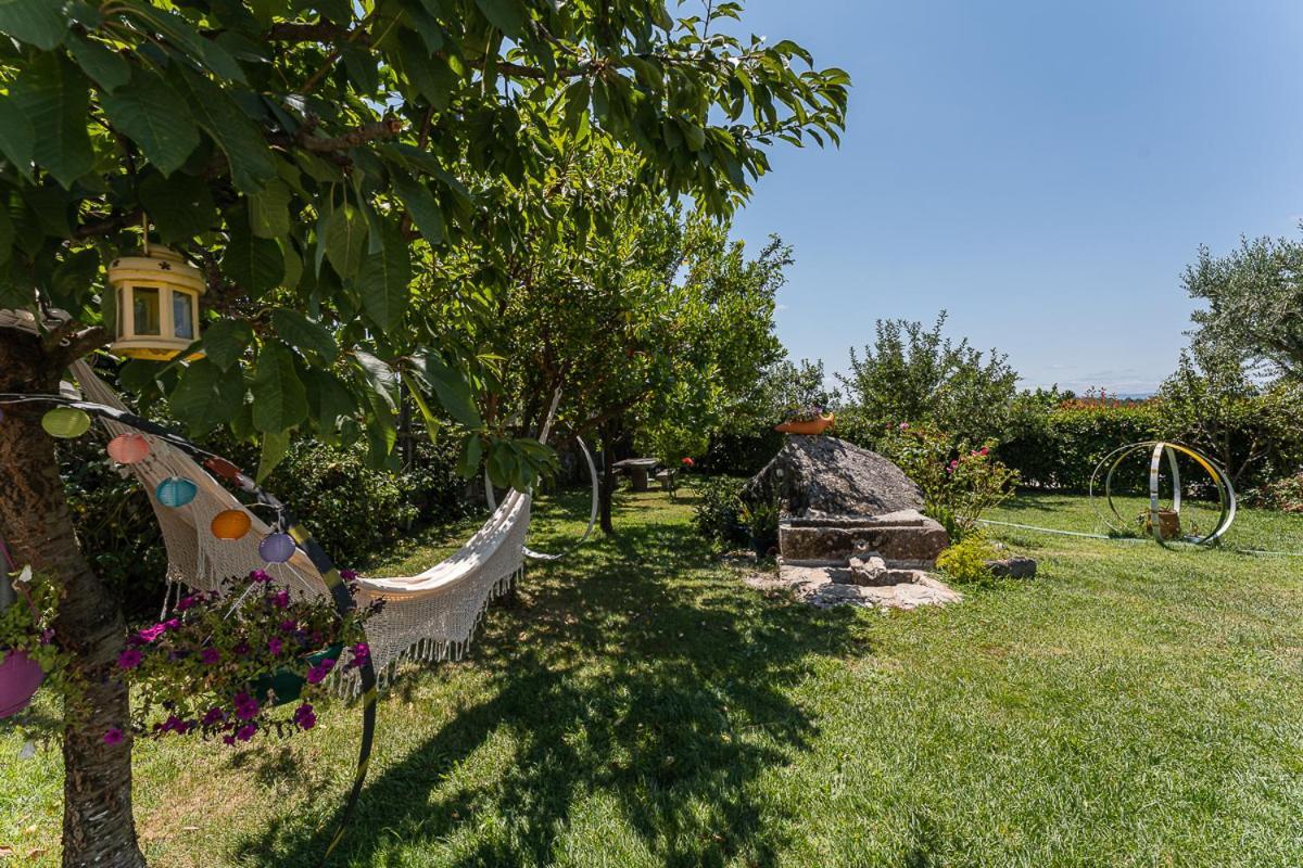 Farm stay Sevenfarm Mangualde
